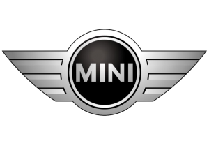 mini (1)